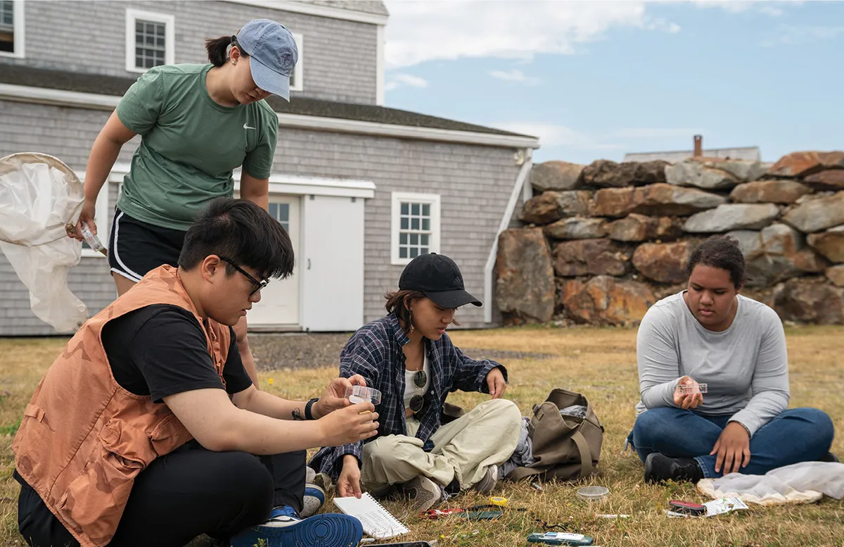 tudents in the Colby Achievement Program in the Sciences, funded by the Linde Packman Lab for Biosciences, participate in a class on Allen Island. 