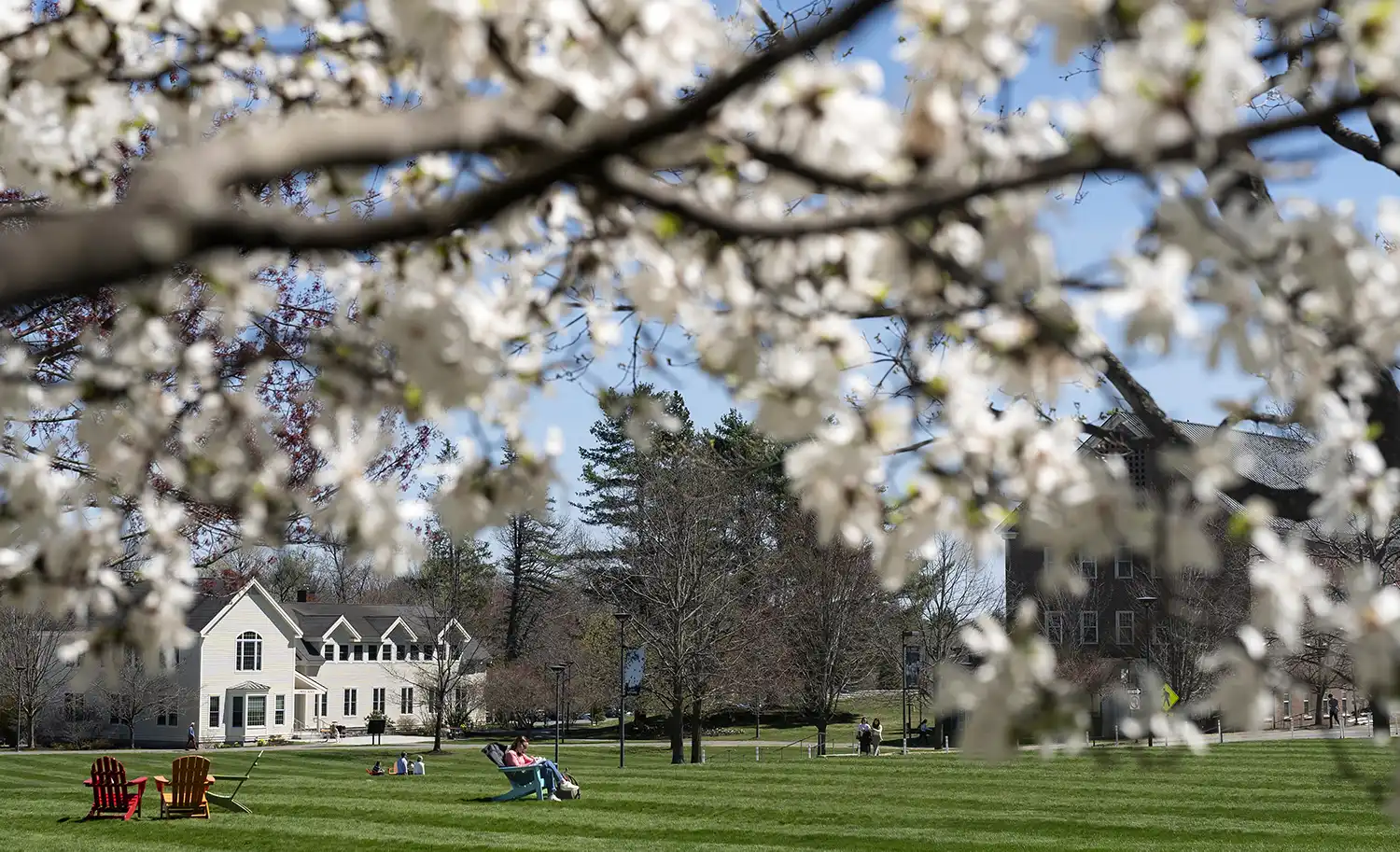 White spring blossoms frame a view of a sunny college campus quad. A student relaxes on an Adirondack chair on the green lawn, with campus buildings and trees visible in the background.