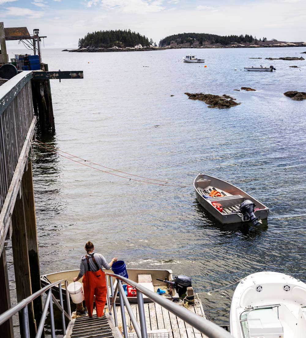 Cait Cleaver, wearing orange waders and holding buckets, walks down a ramp from a wooden dock toward the water. Motorboats and forested islands are visible in the background.
